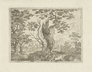 Landschaft mit einem abgebrochenen Baum
