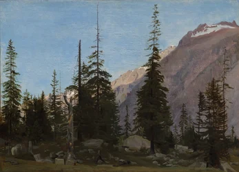 Alpenlandschaft: Die Handegg, Schweiz