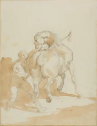 Stallbursche pflegt ein Pferd