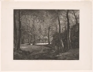 Der Wald von Rochecardon