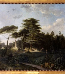 Die Zeder des Libanon im Jardin des Plantes in Paris (Detail)