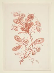 Ohne Titel (Ideale Blumen), aus einem Satz von sechs