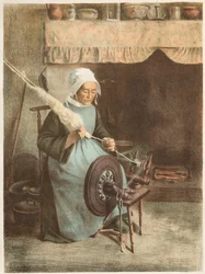 LAïeule