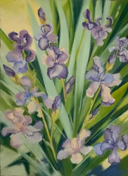 Schwertlilien in einem Beet