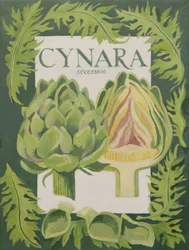 Cynara (Artischocke)