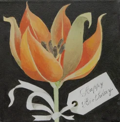 Tulpe, Alles Gute zum Geburtstag