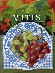 Vitus (Trauben), 2014