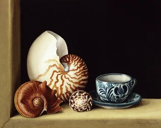 Stillleben mit Nautilus, 1998