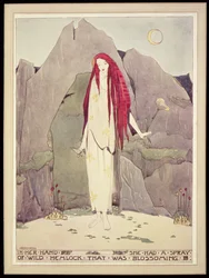 Illustration aus 