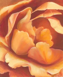 Weiche orangefarbene Blüte