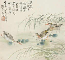 Drei Enten schwimmen in einem Teich