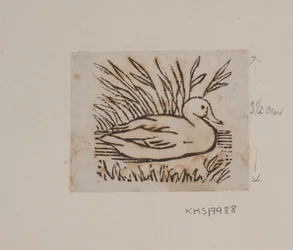 Eine Ente