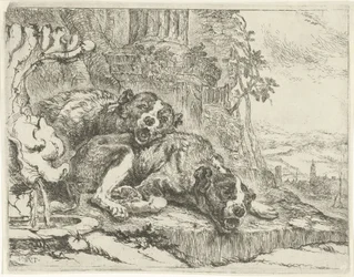 Zwei liegende Hunde