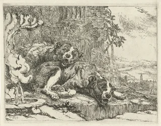 Zwei liegende Hunde (Honden)