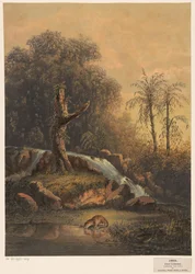 Landschaft mit Wasserfall und trinkendem Leopard