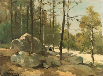 Waldansicht in der Nähe von Barbizon