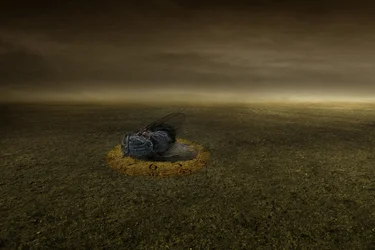 Ende eines Ziels, 2013