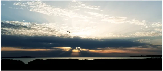 Am Meer