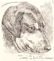 Hundekopf, Terry