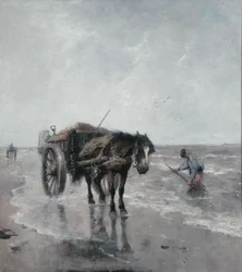 Meeresbrisen