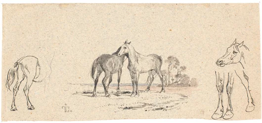 Die zwei Pferde; sowie Studie von Pferden