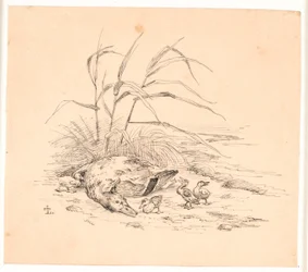 Die getötete Wildente. Illustration zu Kaalunds "Fabler for Børn".