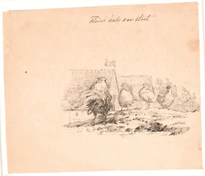 Der Hahn. Illustration zu Kaalunds "Fabeln für Kinder". Siehe Kommentar aus dem Arkatalog.