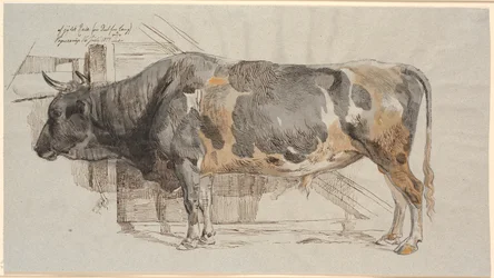 Stehender Stier in seinem Stall