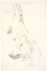 Studie nach antiken Skulpturen: Wildschweinkopf, Oberkörper eines steigenden Pferdes, von hinten gesehen und ein Arm mit Draperie