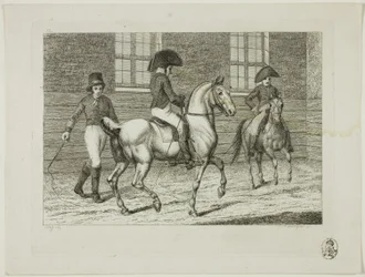 Reitschule und Pferde