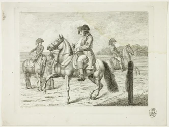 Reitschule und Pferde