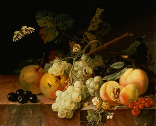 Früchte auf einer Marmorkante mit Schmetterlingen, Schnecke und Raupe