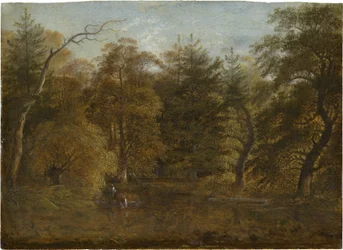 Waldlandschaft mit einem Teich