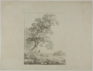 Landschaft mit einem großen Baum