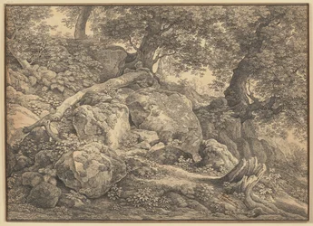 Abhang mit Felsblöcken und Ölbäumen im Park der Prinzen Chigi zu Ariccia