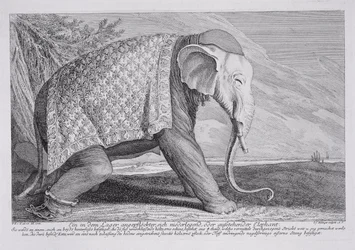 Ein Elefant
