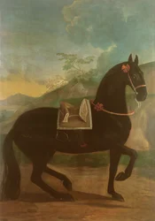 Ein schwarzes Pferd mit einem spanischen Sattel
