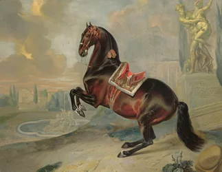 Das dunkelbraune Pferd 