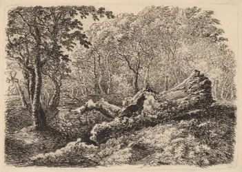 Verfallener Baumstamm, 1794