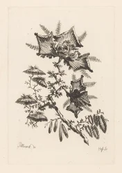 Blumen in Drachenform