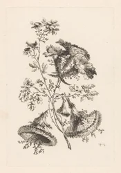 Dreieckige Blumen