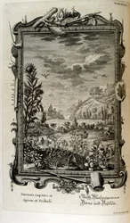 Kupferstich aus 