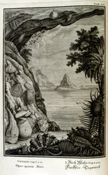 Kupferstich aus 