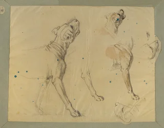 Hundestudie zur "Heimkehr des Landwehrmannes" (1820)