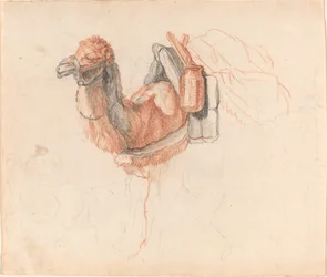 Kamel