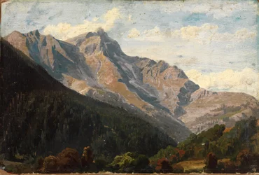 Schweizer Gebirgslandschaft mit dem Piz Beverin im Hintergrund