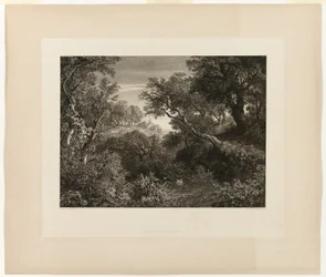 Die große deutsche Landschaft