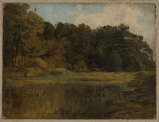 Waldteich