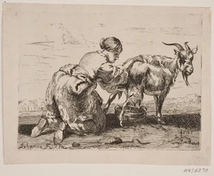 Ein Mädchen, das eine Ziege melkt