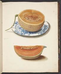 Studie von zwei Netzmelonen, halbiert und geviertelt